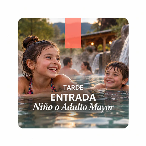 Entrada Tarde - Niño o Adulto Mayor