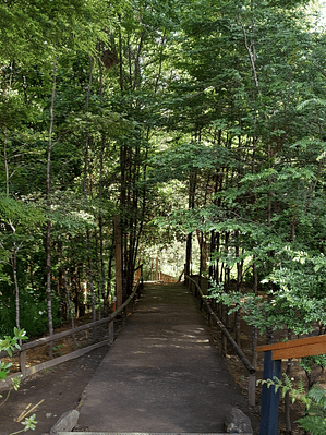 Senior  - Pase Diario