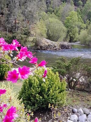 General - Pase de Tarde (solo compras Online)
