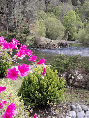 General - Pase de Tarde 