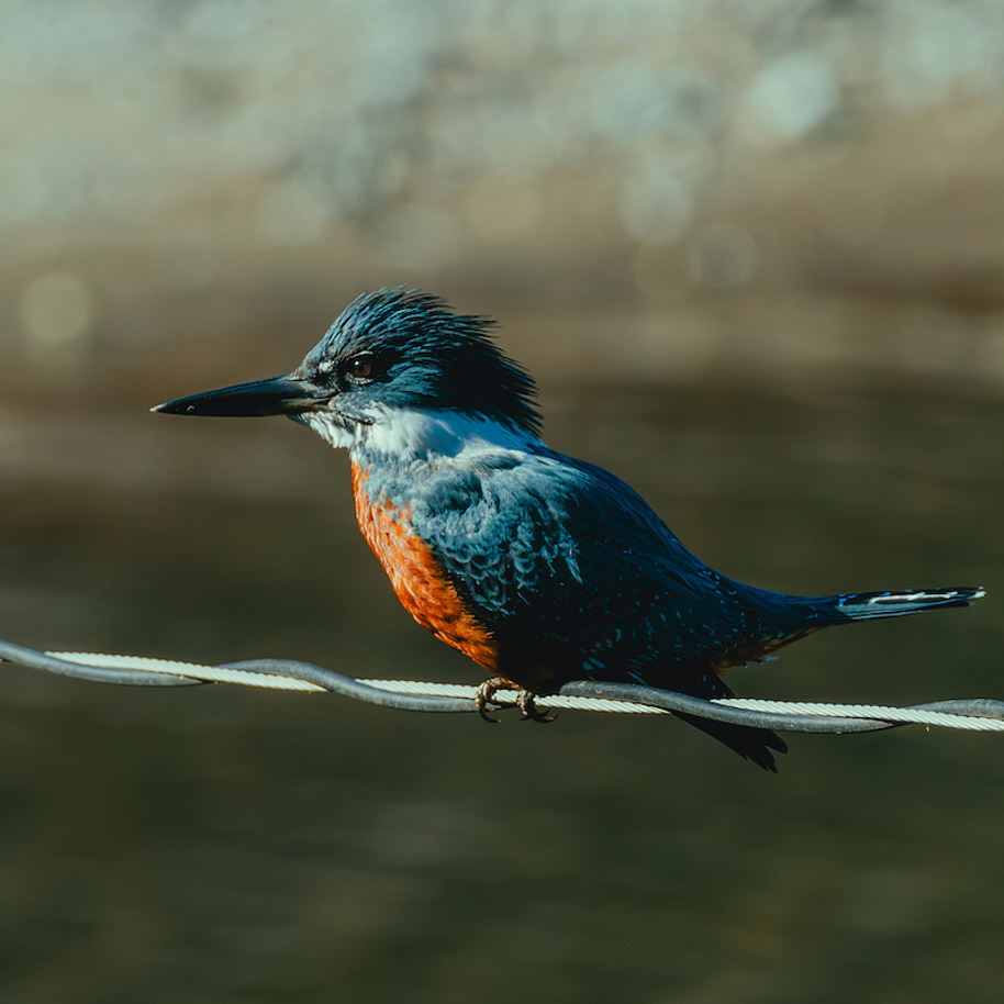 MUJERES 08-03-2026 1