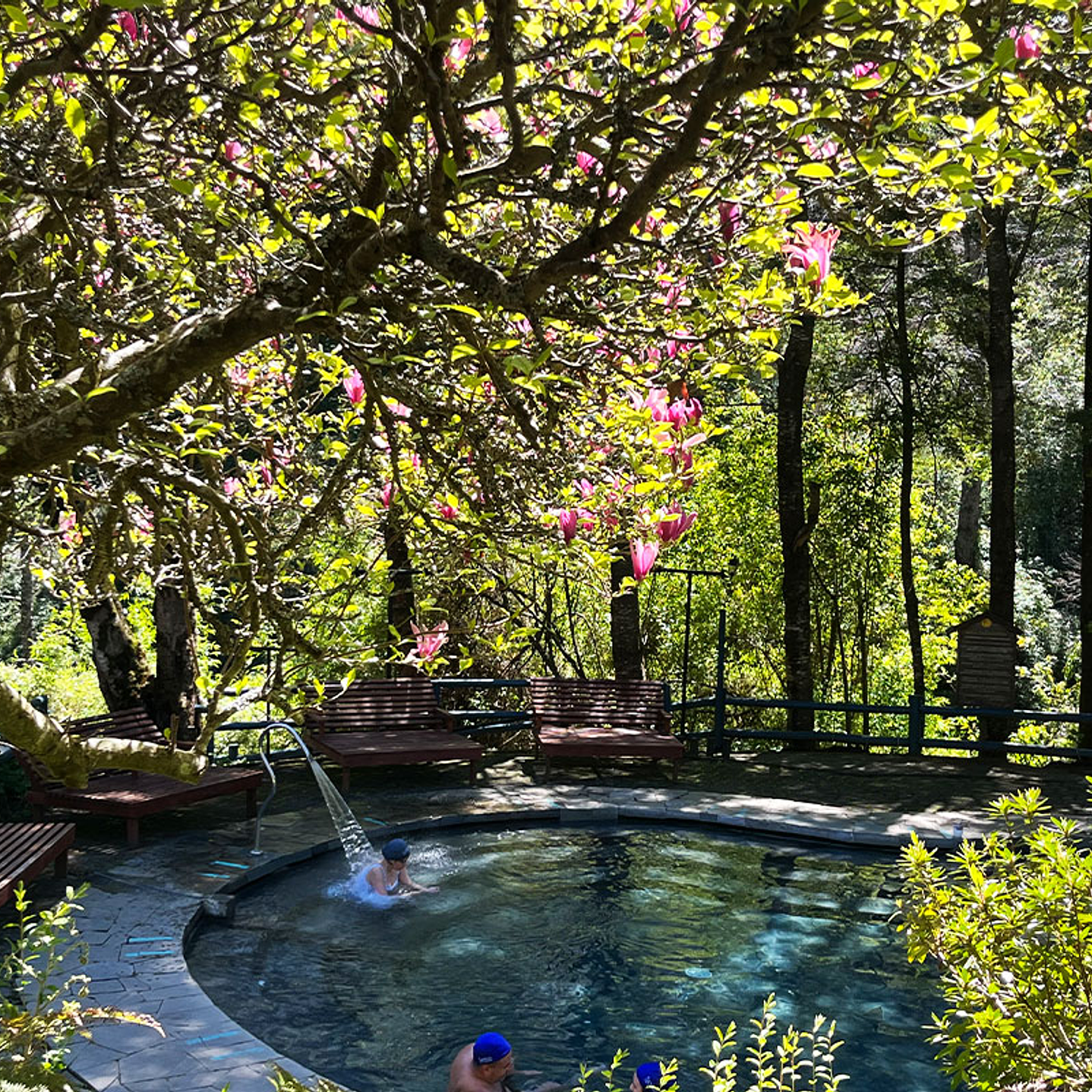 Ticket Piscinas Termales Senior