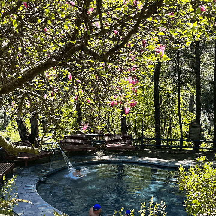 Ticket Piscinas Termales Senior