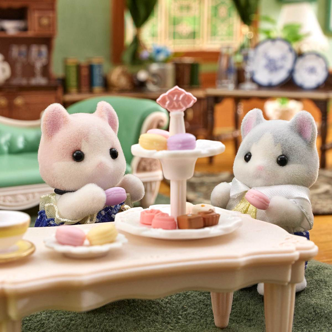 Kinder gatos curly 2