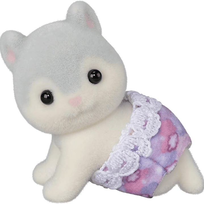 Hermanos ardilla voladores (pre-venta)  6