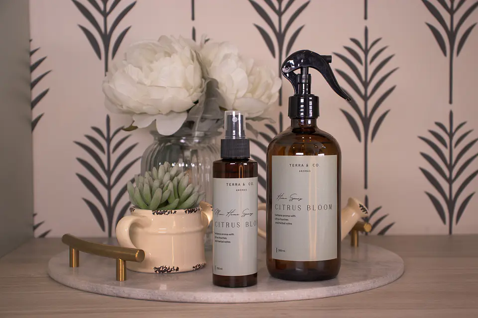HOME SPRAY 500 ML +  100 ML  1