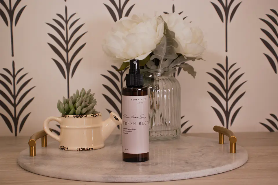 MINI HOME SPRAY 100 ML 1