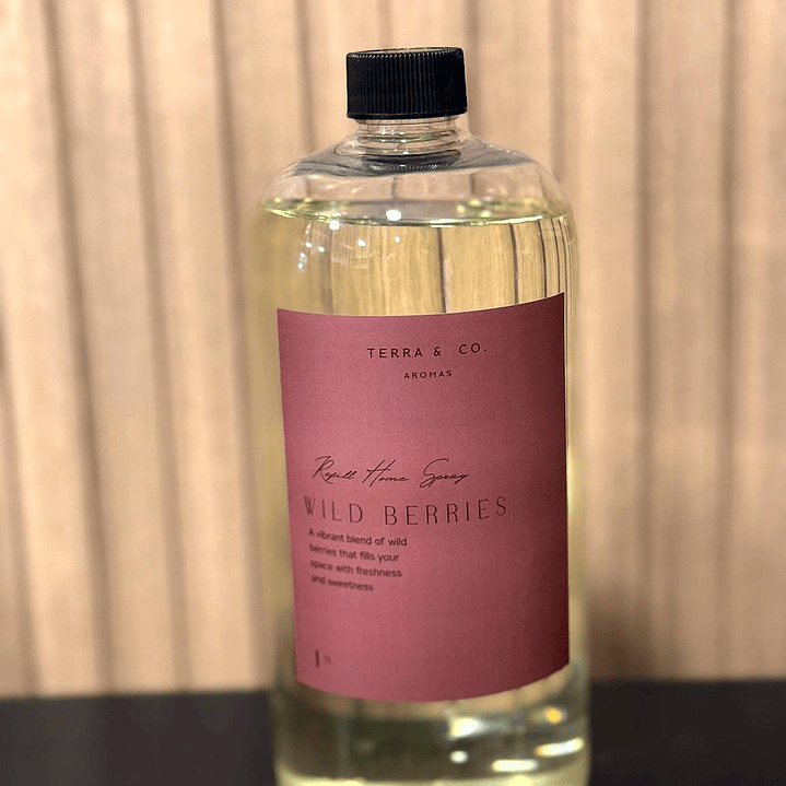 Recarga Home Spray 1 LT 1