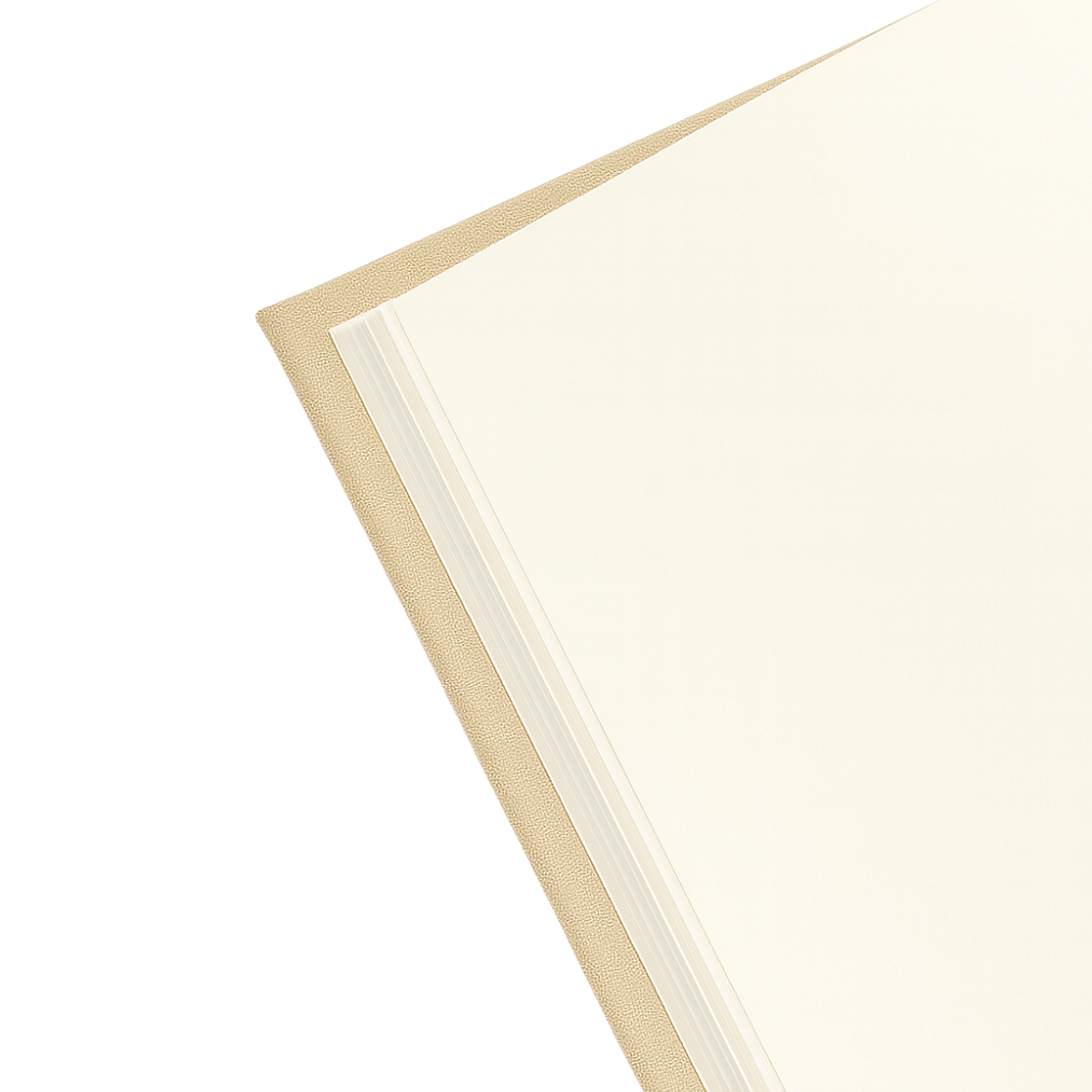 Terra Journal Arena - Calma, Conexión y Esencia 3