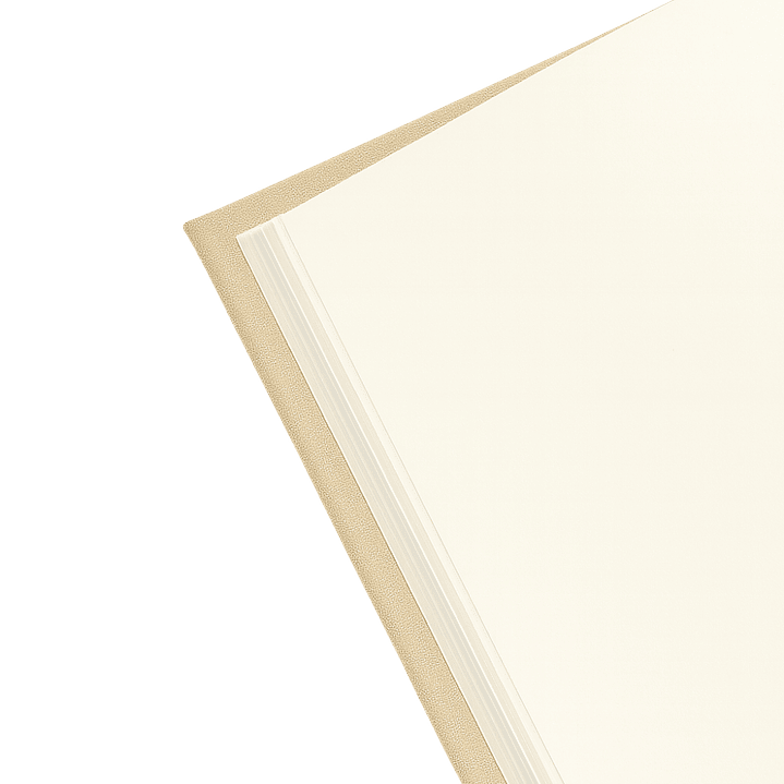 Terra Journal Arena - Calma, Conexión y Esencia 3