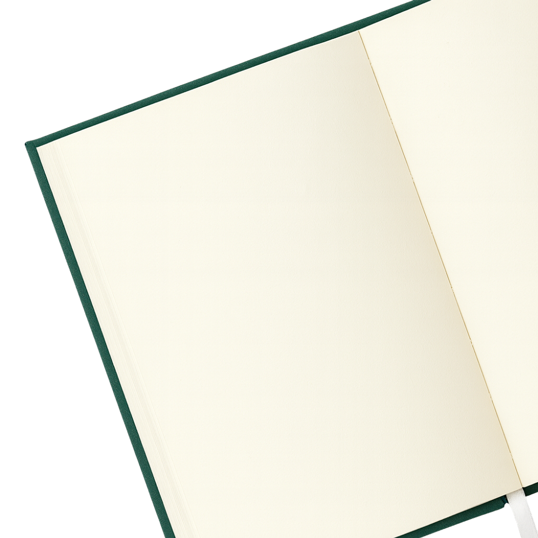 Terra Journal Bosque Profundo - Silencio, Sabiduría y Conexión 3