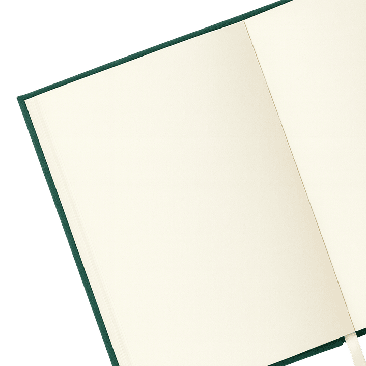 Terra Journal Bosque Profundo - Silencio, Sabiduría y Conexión 3