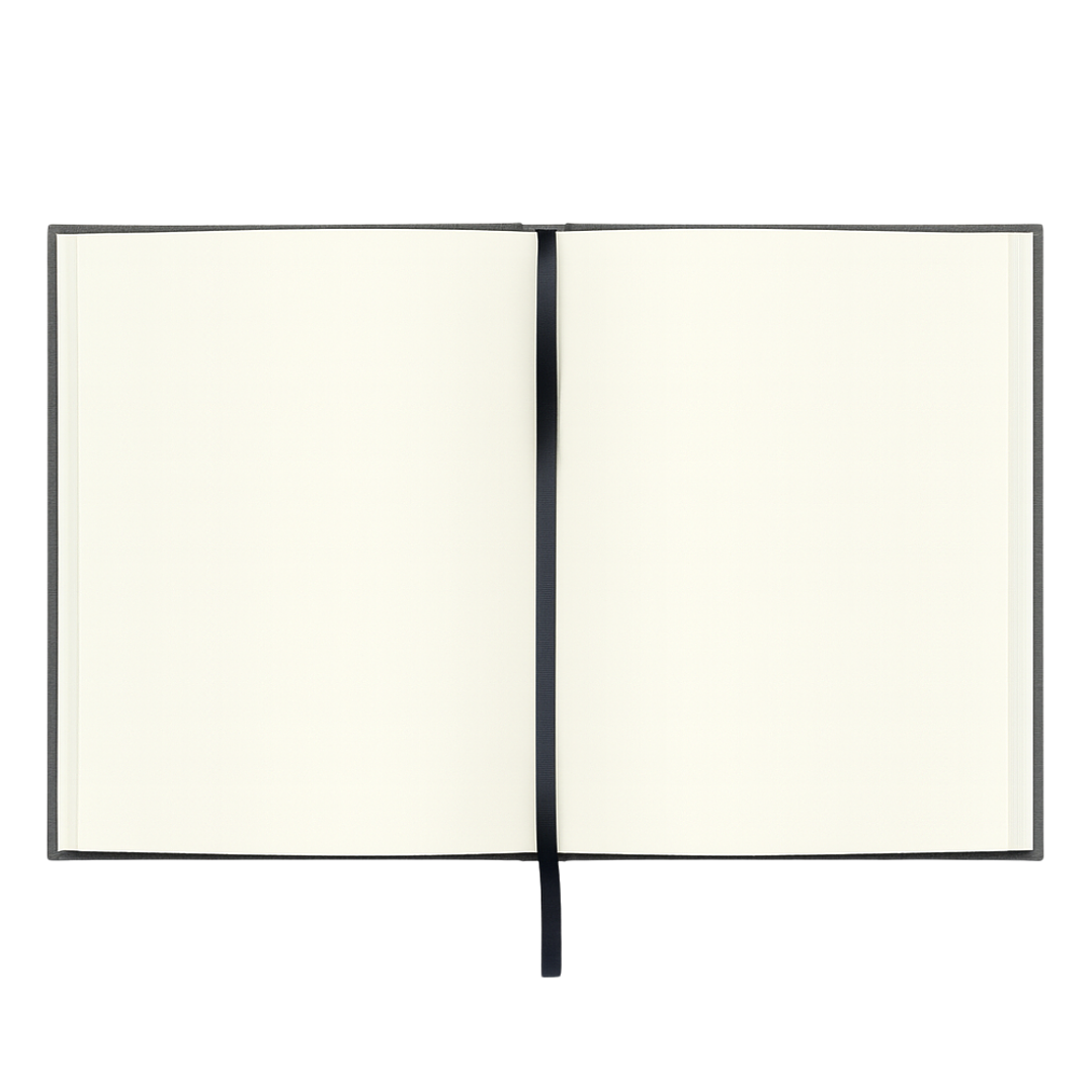 Terra Journal Niebla - Silencio, Honestidad y Pausa 2