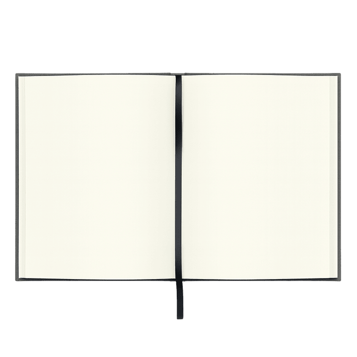 Terra Journal Niebla - Silencio, Honestidad y Pausa 2