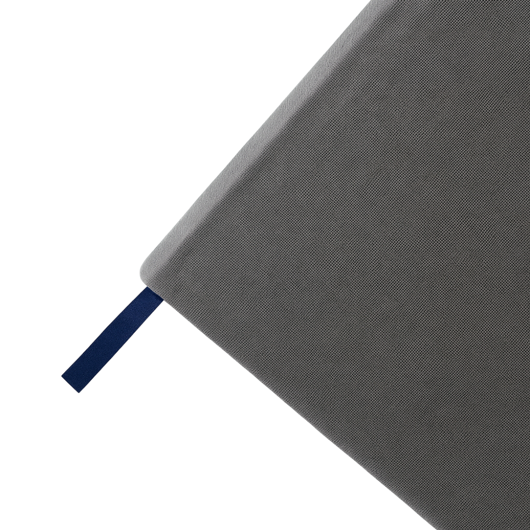 Terra Journal Niebla - Silencio, Honestidad y Pausa 5