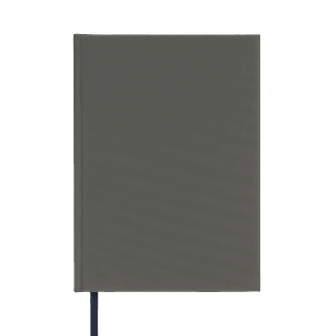 Terra Journal Niebla - Silencio, Honestidad y Pausa