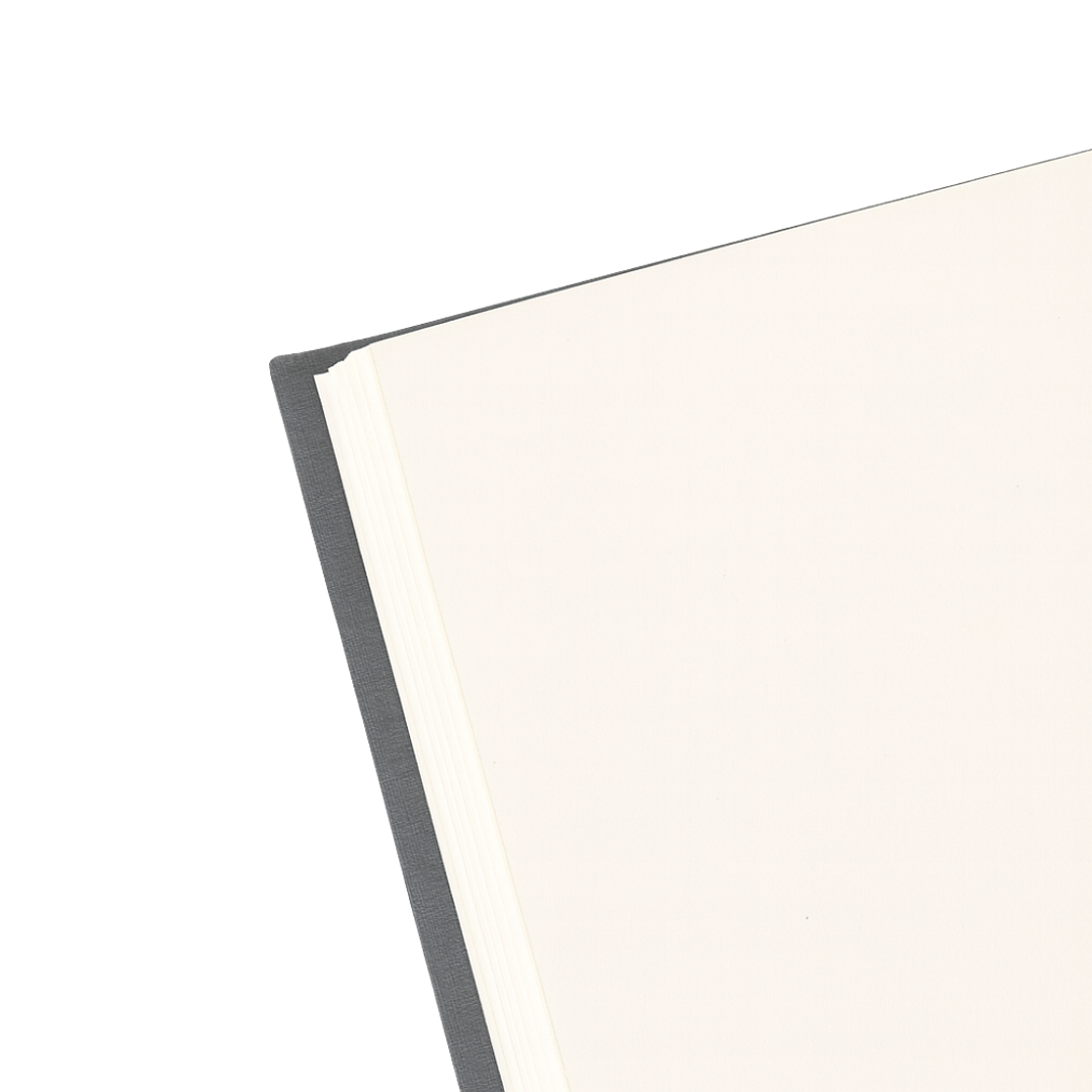 Terra Journal Niebla - Silencio, Honestidad y Pausa 3