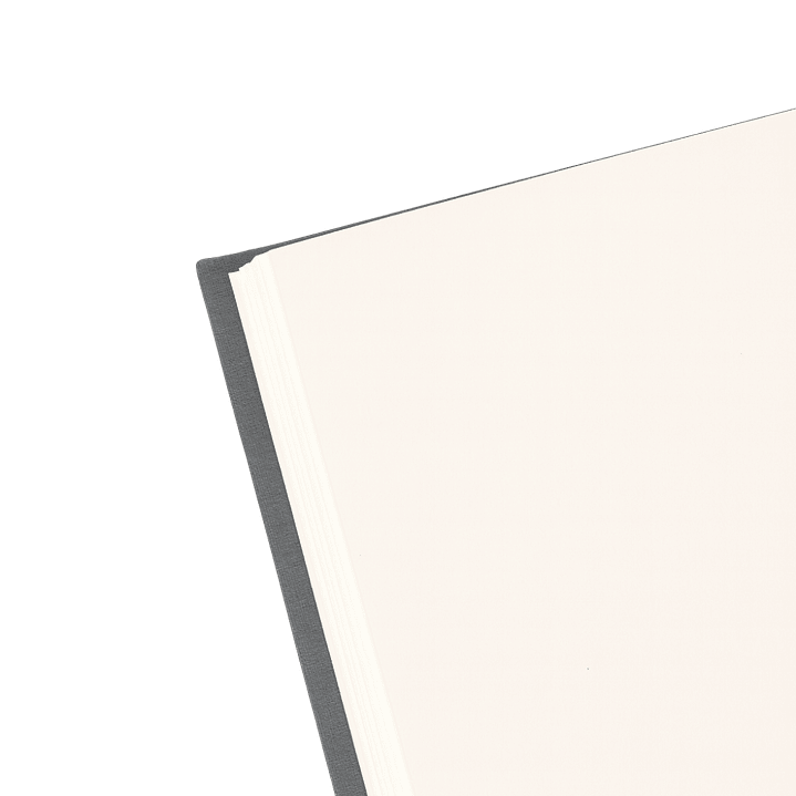 Terra Journal Niebla - Silencio, Honestidad y Pausa 3