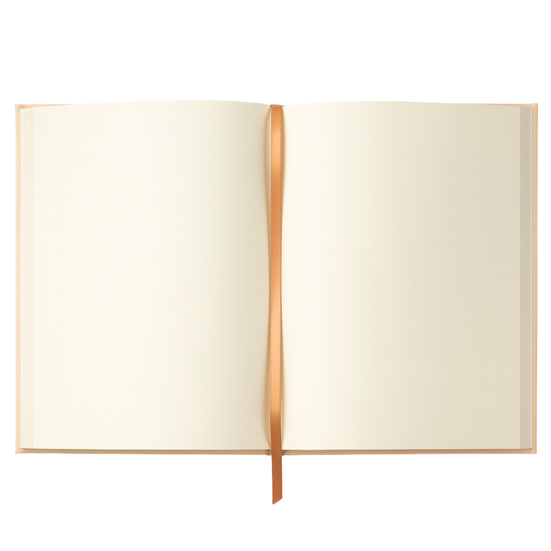 Terra Journal Raíz - Lo esencial, Lo noble y Lo auténtico 2