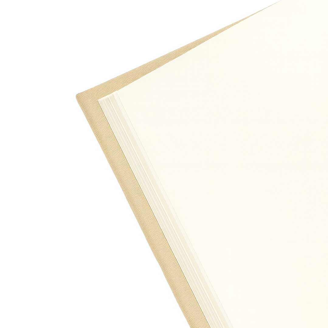 Terra Journal Arena - Calma, Conexión y Esencia 2