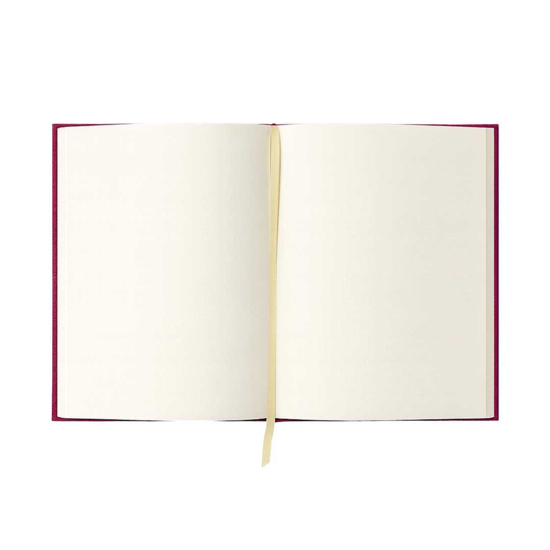 Terra Journal Vínculo - Escribir con el Alma 3