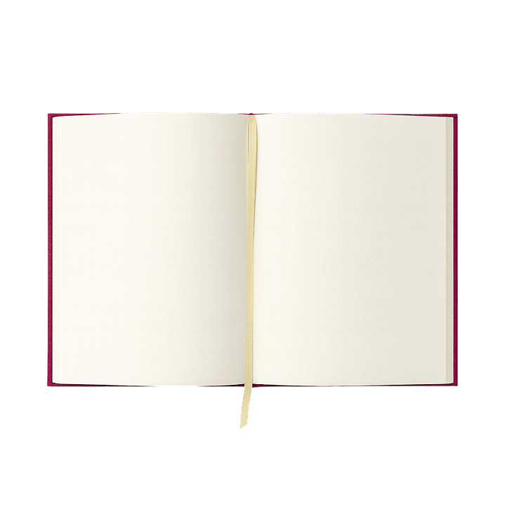 Terra Journal Vínculo - Escribir con el Alma 3