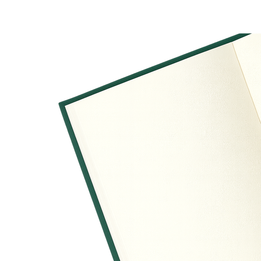 Terra Journal Bosque Profundo - Silencio, Sabiduría y Conexión 2