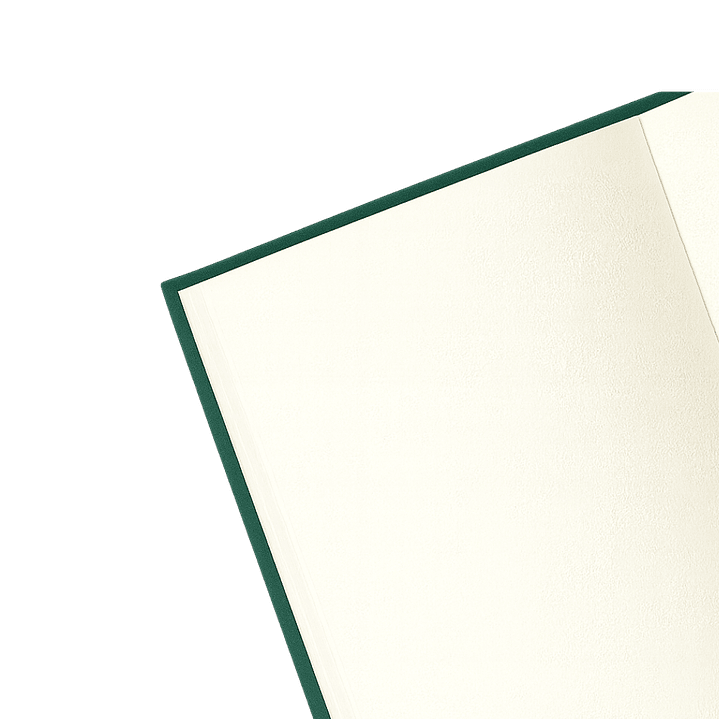 Terra Journal Bosque Profundo - Silencio, Sabiduría y Conexión 2