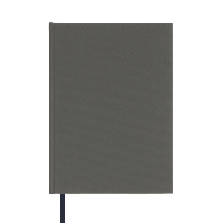 Terra Journal Niebla - Silencio, Honestidad y Pausa 1