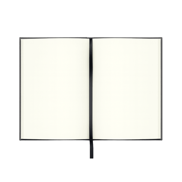 Terra Journal Niebla - Silencio, Honestidad y Pausa 2