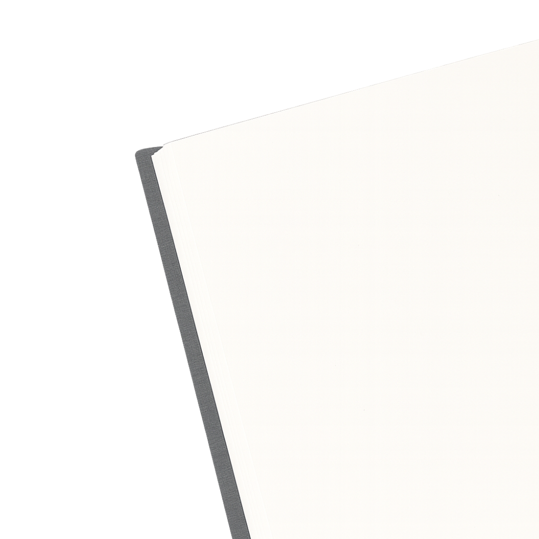 Terra Journal Niebla - Silencio, Honestidad y Pausa 3