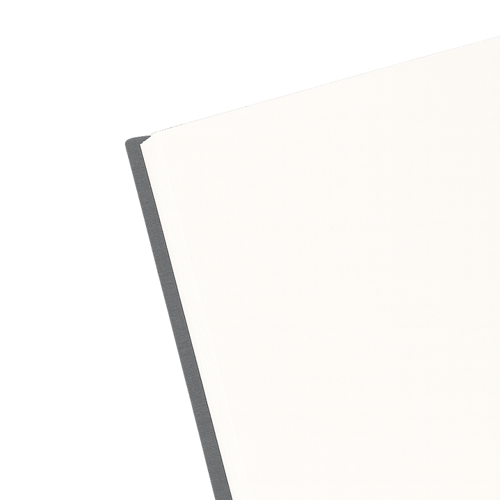 Terra Journal Niebla - Silencio, Honestidad y Pausa 3