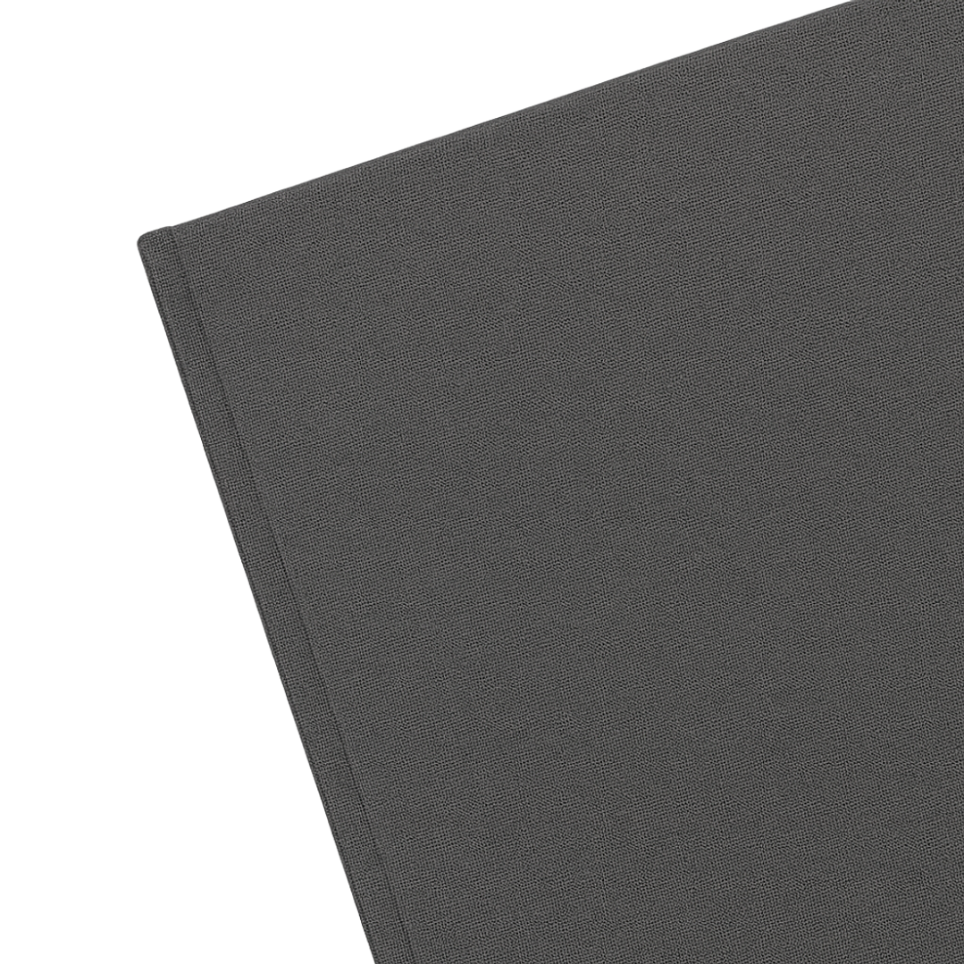 Terra Journal Niebla - Silencio, Honestidad y Pausa 4