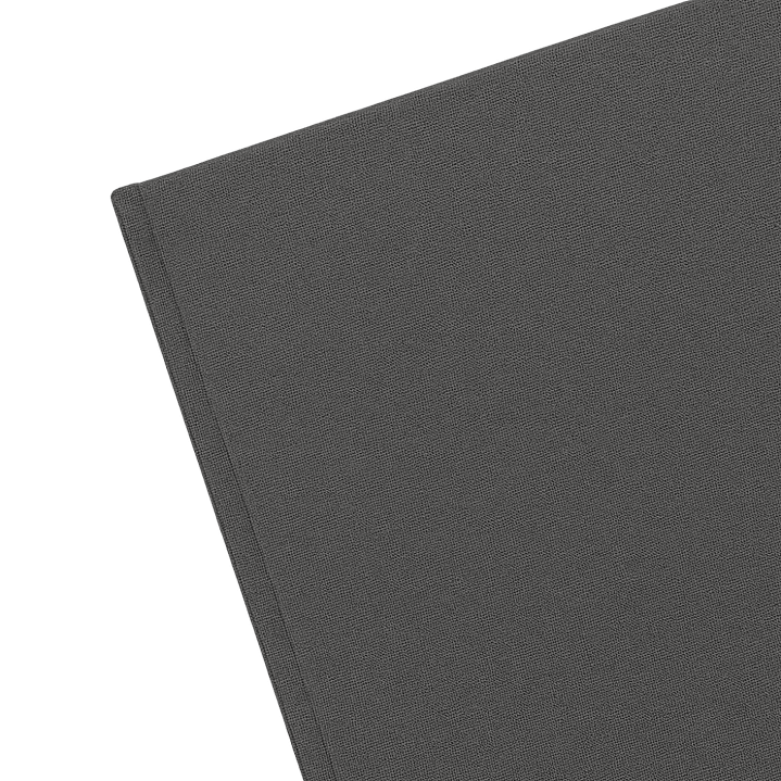 Terra Journal Niebla - Silencio, Honestidad y Pausa 4