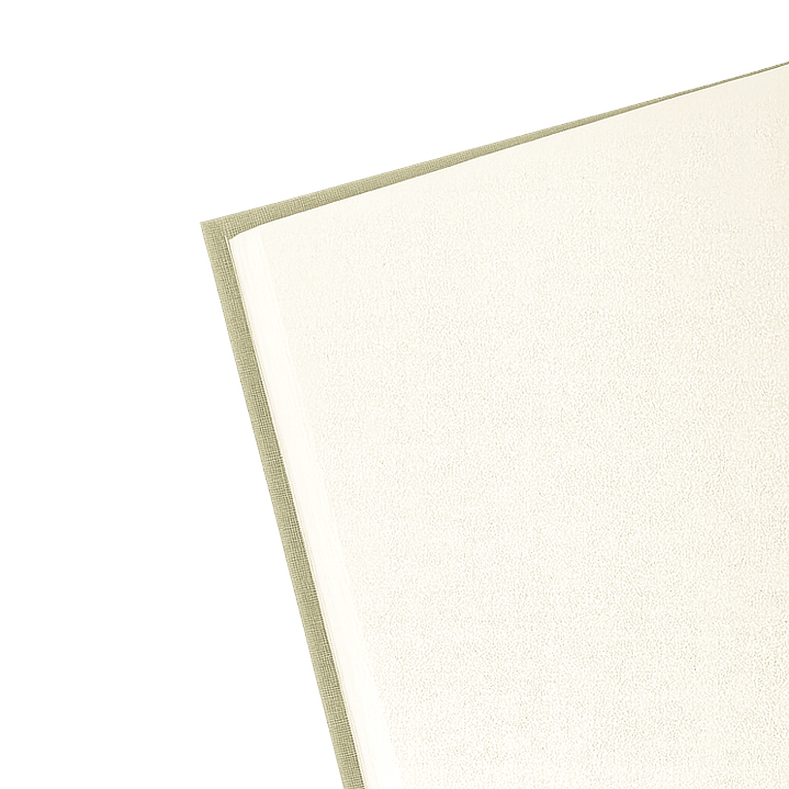 Terra Journal Oliva Silvestre - Madurez, Pausa y Naturaleza 3