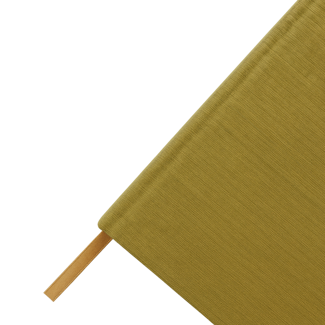 Terra Journal Oliva Silvestre - Madurez, Pausa y Naturaleza 4