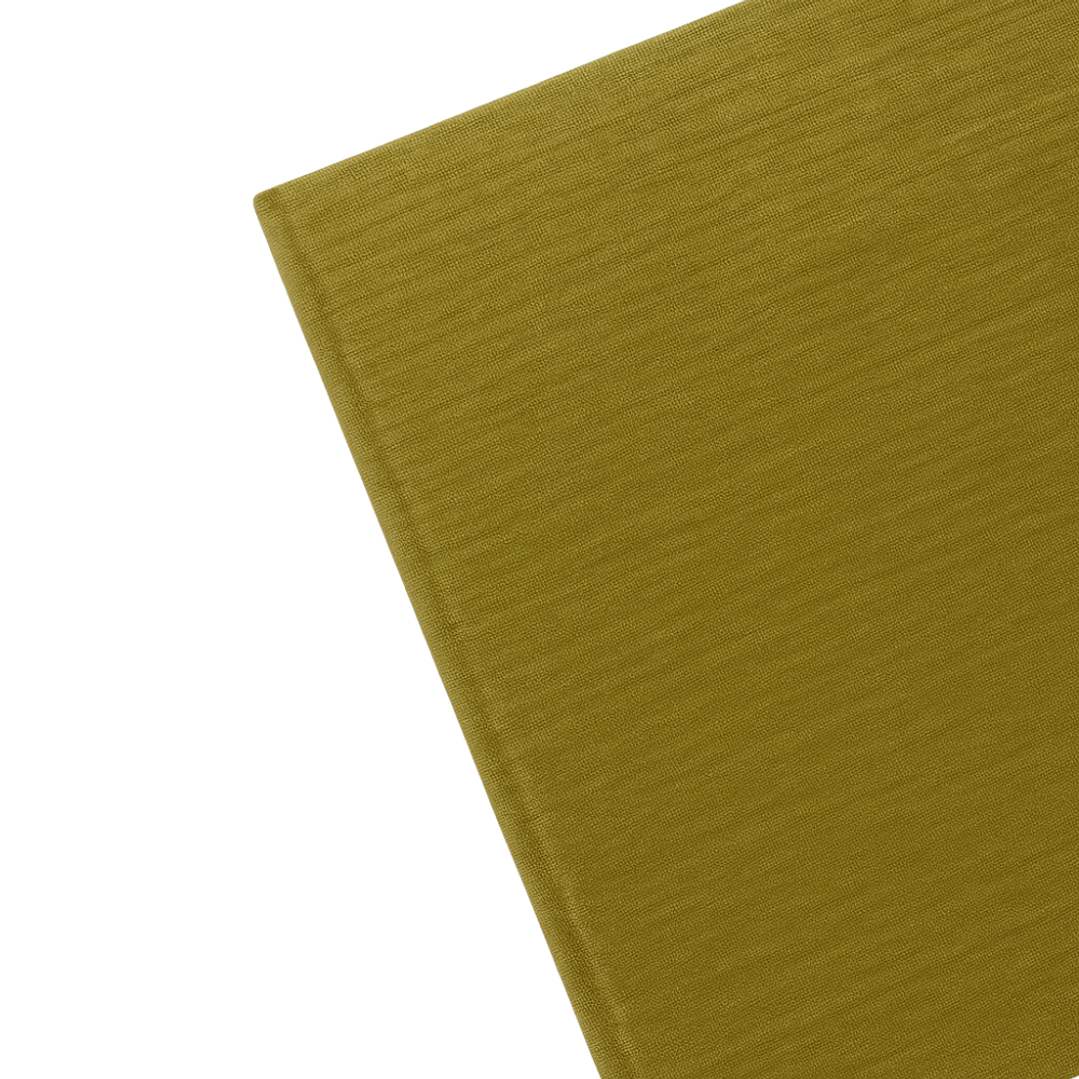 Terra Journal Oliva Silvestre - Madurez, Pausa y Naturaleza 5