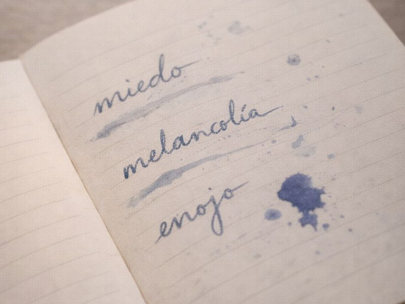 Registrar emociones sin explicarlas