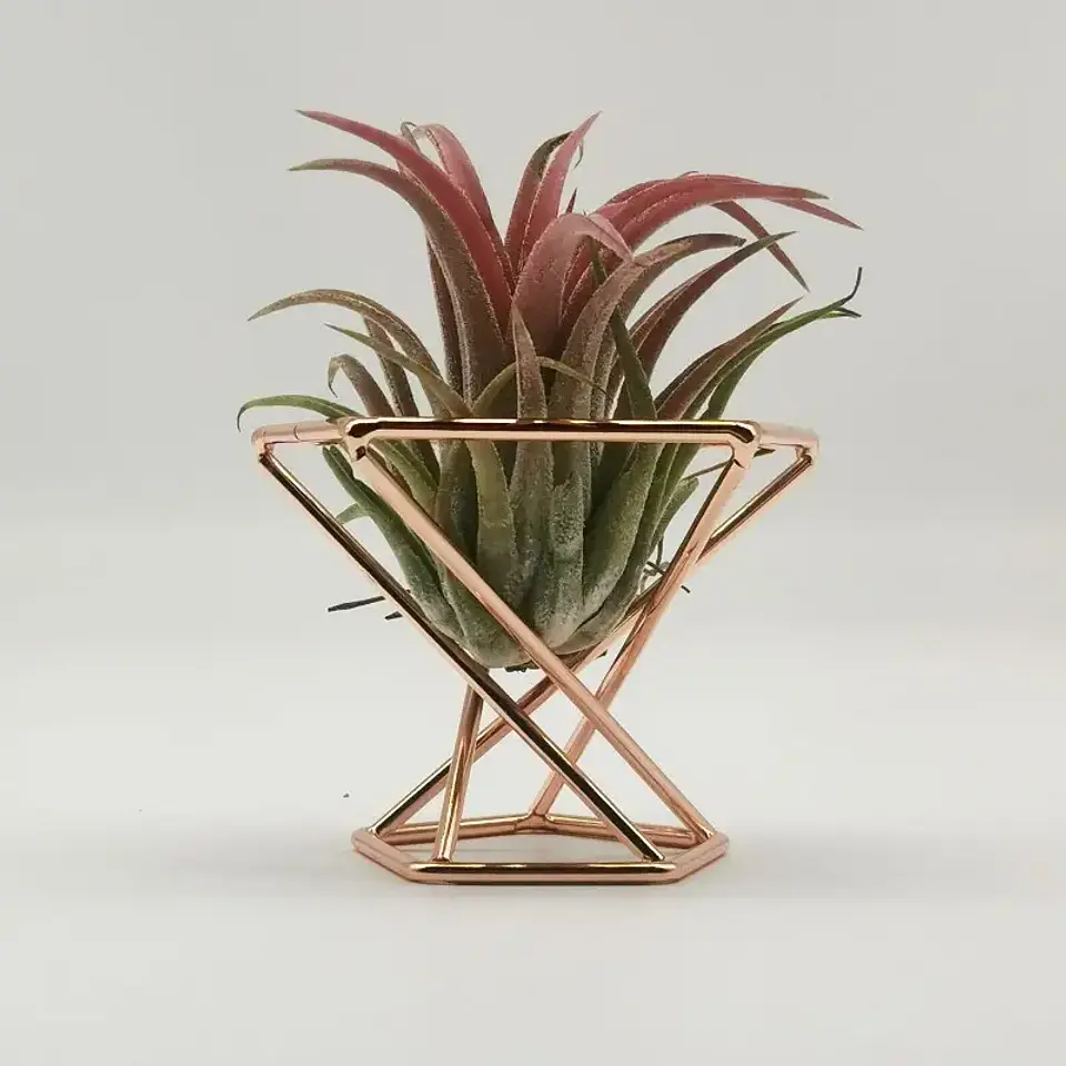 Suporte de Metal Geométrico para Plantas Aéreas 3