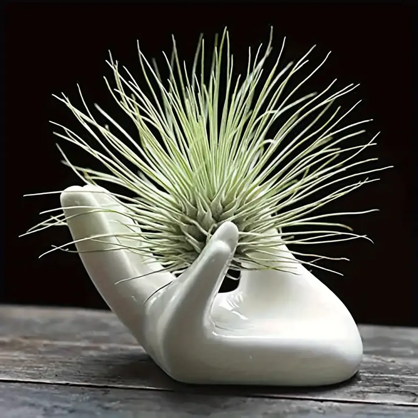 Hand Shaped Ceramic Holder 2