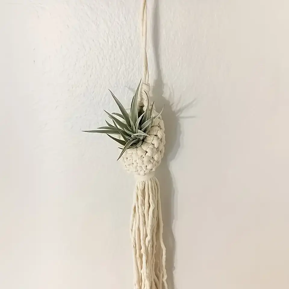 Suporte de Parede Boémio em Macramé com Borla para Air Plant 1
