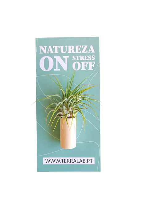 Suporte de Madeira com Planta Aérea