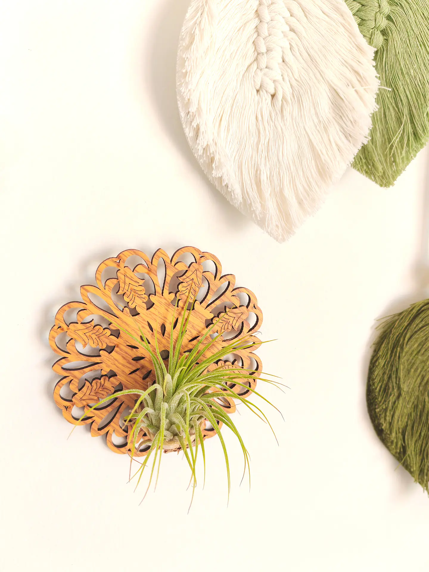 Wooden Stand with Moroccan Details and Air Plant 2