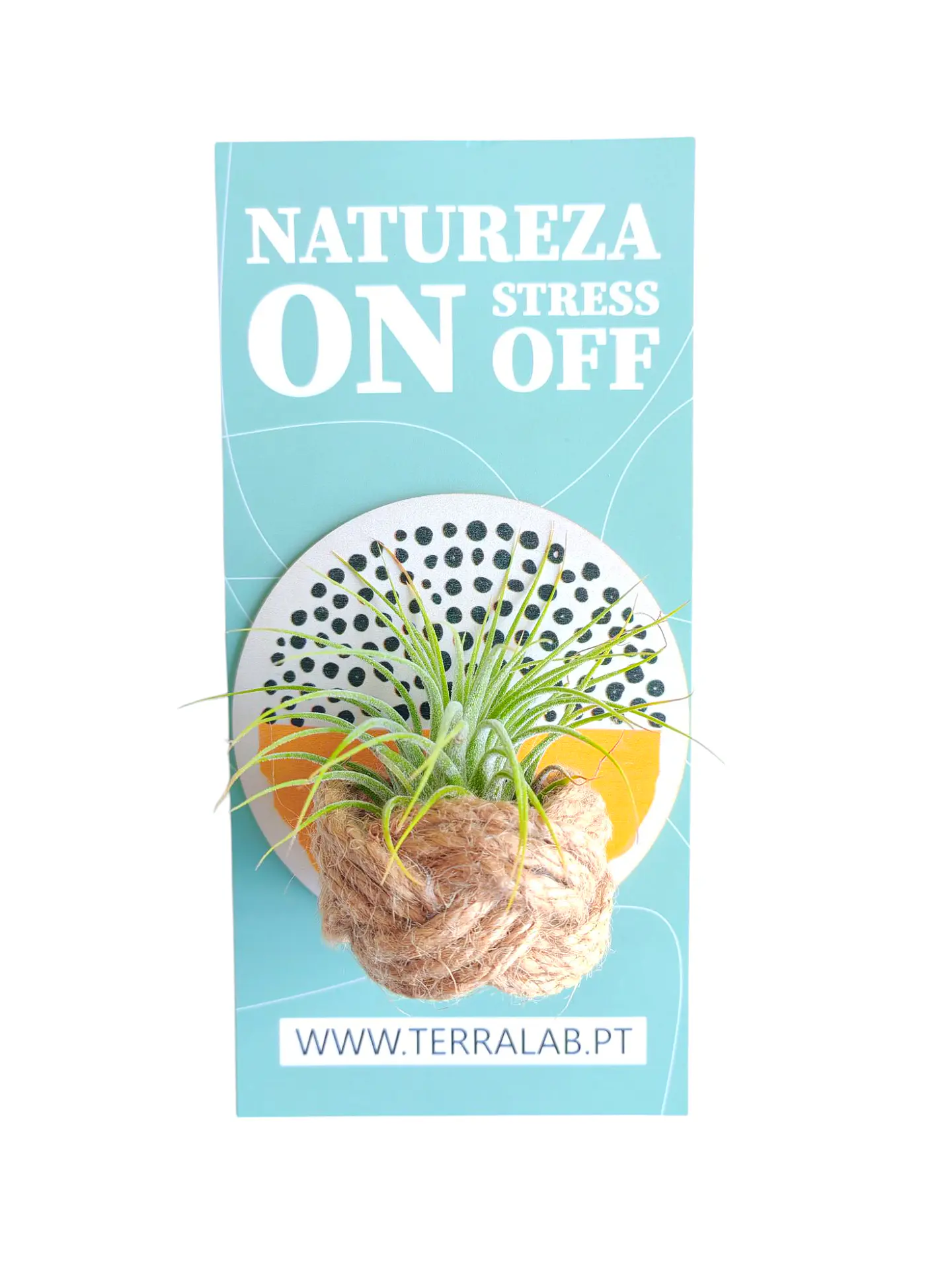 Suporte de Parede em Madeira com Padrão Abstrato e Anel de Corda com Planta Aérea 3