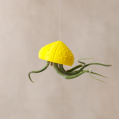 Suporte para Plantas Aéreas Sea Shell - 3D Impresso com PLA