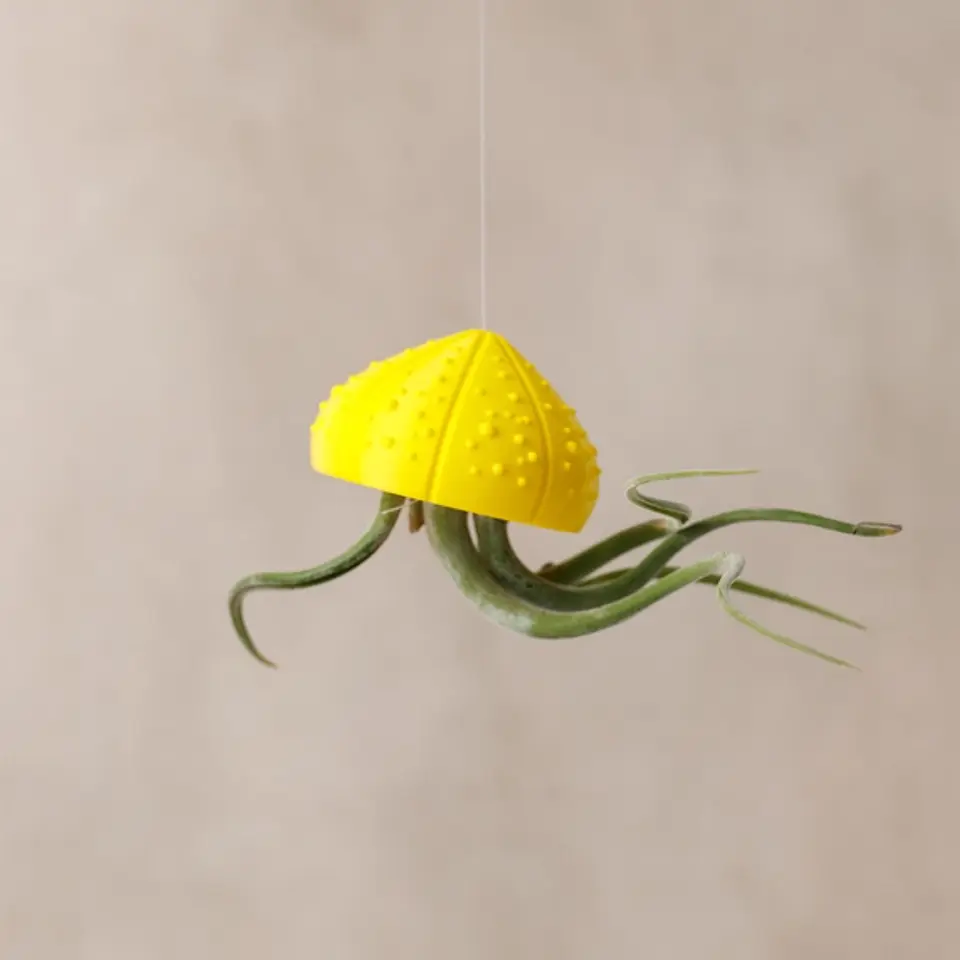Suporte para Plantas Aéreas Sea Shell - 3D Impresso com PLA 1