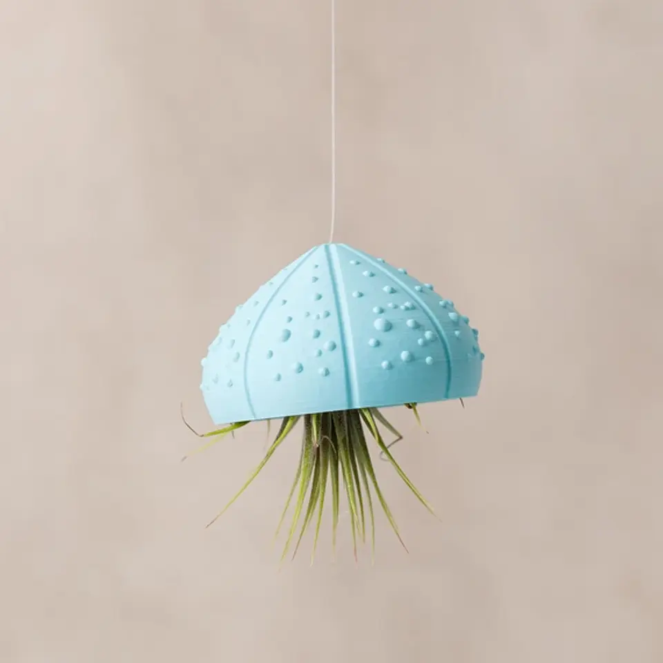 Suporte para Plantas Aéreas Sea Shell - 3D Impresso com PLA 2