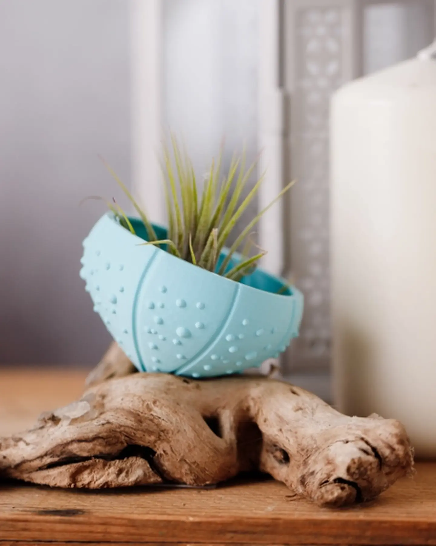 Suporte para Plantas Aéreas Sea Shell - 3D Impresso com PLA 3