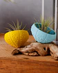Suporte para Plantas Aéreas Sea Shell - 3D Impresso com PLA - Thumbnail 4