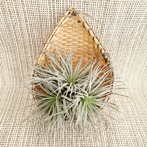 Cesto Decorativo em Forma de Lágrima – Artesanato da Índia